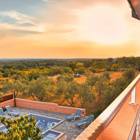 My Dalmatia - With Private Pool * Visocane