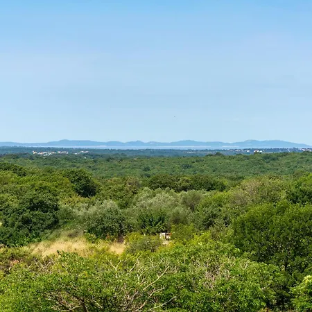 My Dalmatia - With Private Pool Casa vacanze Visocane