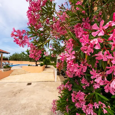 Casa vacanze My Dalmatia - With Private Pool